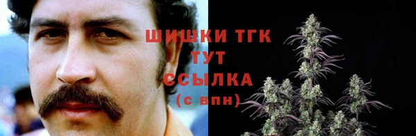 спайс Нея