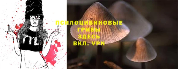 спайс Нея