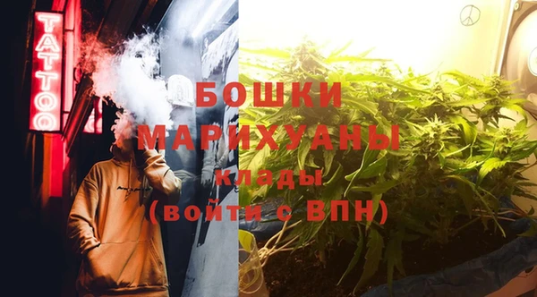 спайс Нея