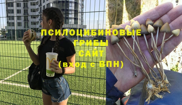 2c-b Нефтегорск